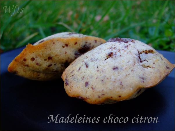 madeleines choco citron2