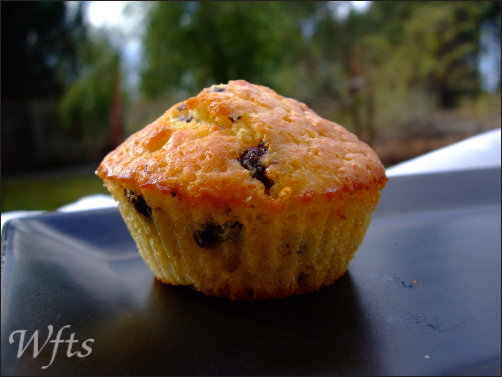 muffins choco orange3